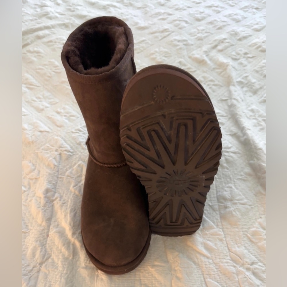 Classic short Uggs brown